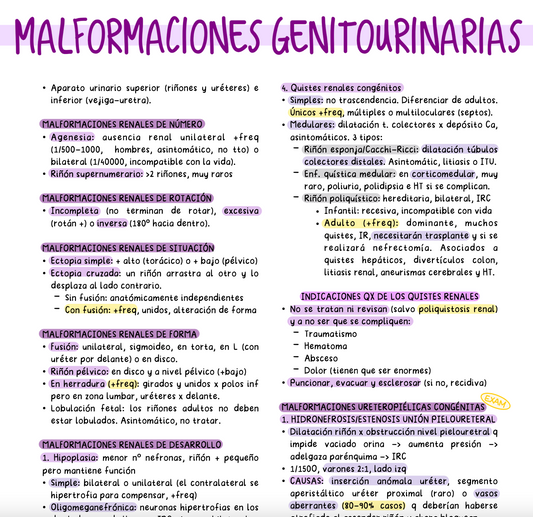 🔪 Cirugía II — (5º Medicina) (ASIGNATURA COMPLETA)