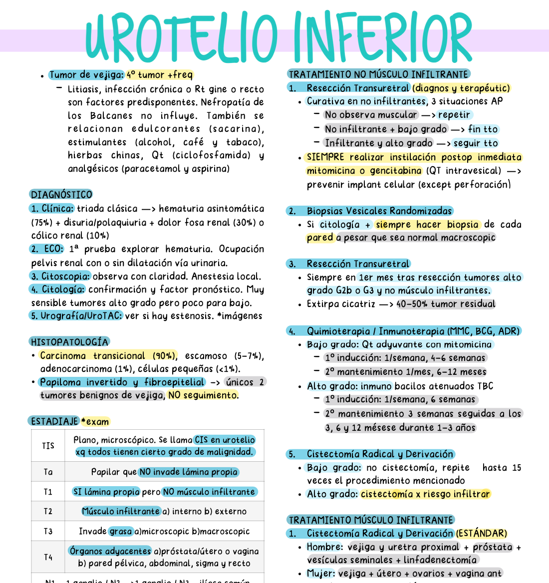 🍆 Urología — Cirugía II (5º Medicina)