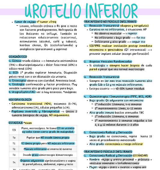 🔪 Cirugía II — (5º Medicina) (ASIGNATURA COMPLETA)