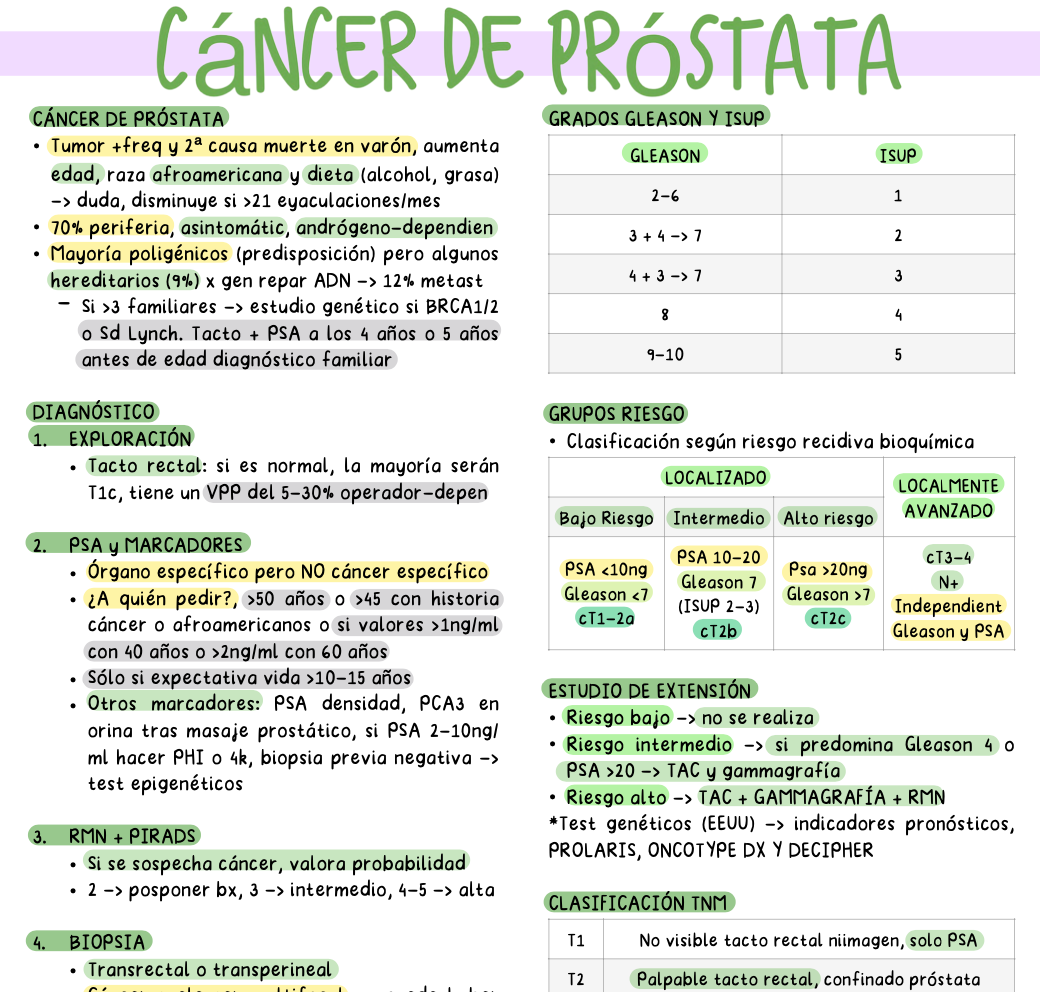 🍆 Urología — Cirugía II (5º Medicina)