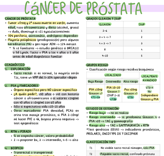 🍆 Urología — Cirugía II (5º Medicina)