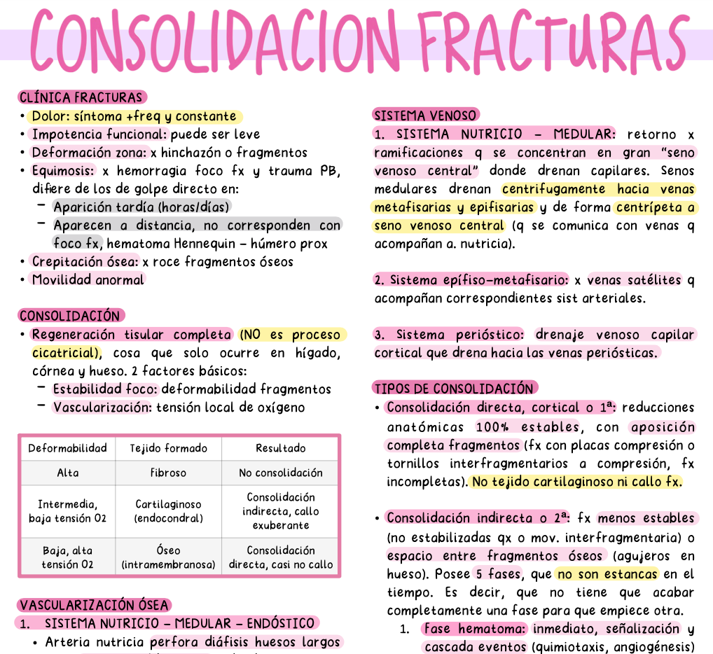 🦴 Traumatología — Cirugía II (5º Medicina)