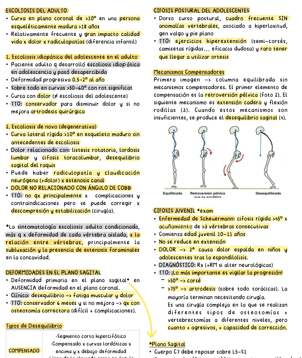 🦴 Traumatología — Cirugía II (5º Medicina)