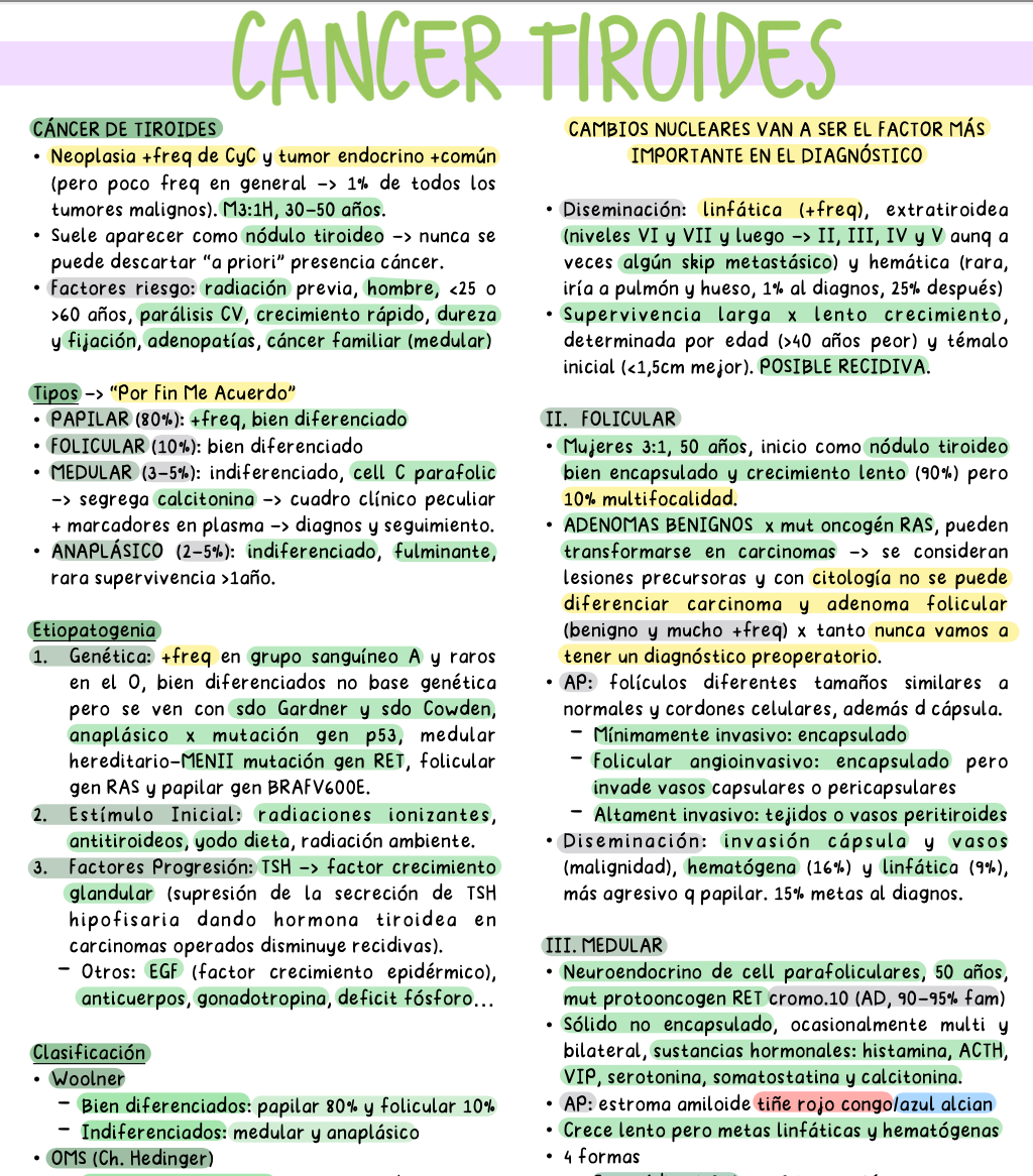 🧬 Cirugía Endocrina — Cirugía II (5º Medicina)