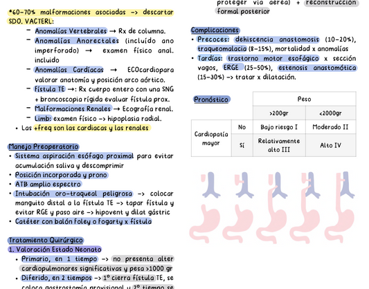 👶 Cirugía Pediátrica — Cirugía II (5º Medicina)