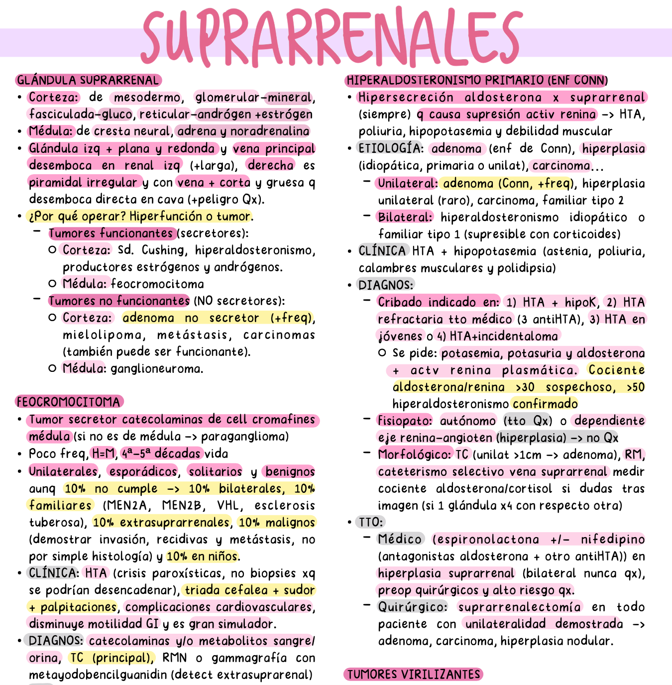 🧬 Cirugía Endocrina — Cirugía II (5º Medicina)