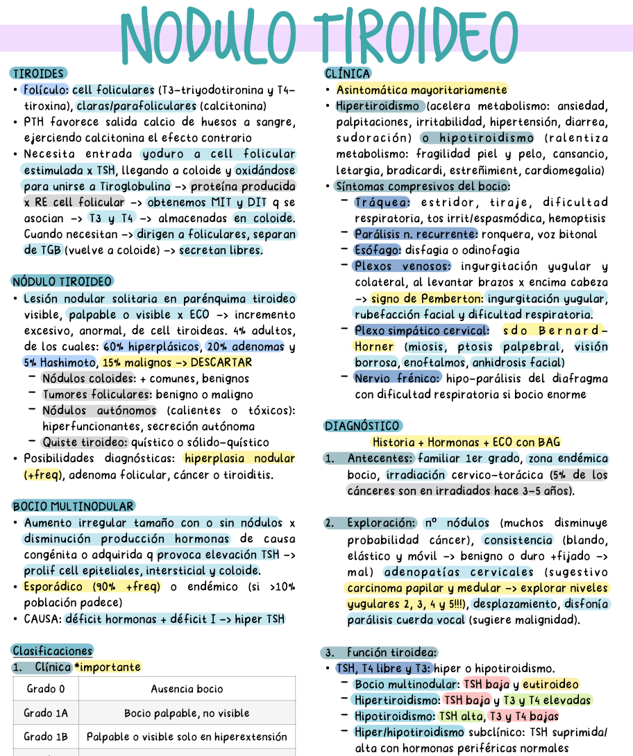 🧬 Cirugía Endocrina — Cirugía II (5º Medicina)