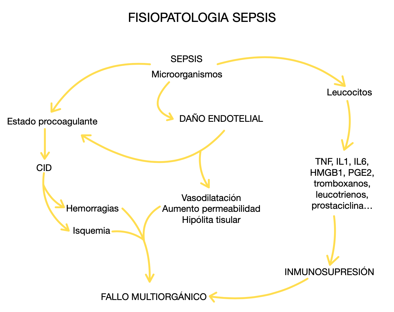 💉 Anestesia y Reanimación — Cirugía II (5º Medicina)