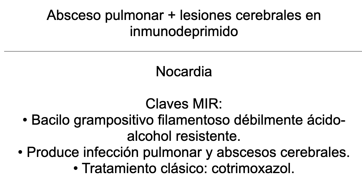 🌬️ Ankis patogMIRmónicos Neumología