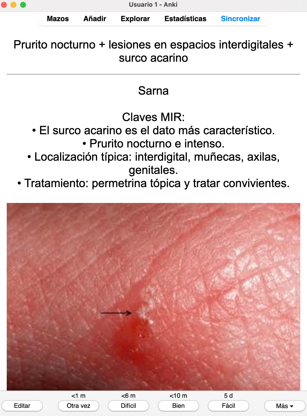 🌞 Ankis patogMIRmónicos Dermatología
