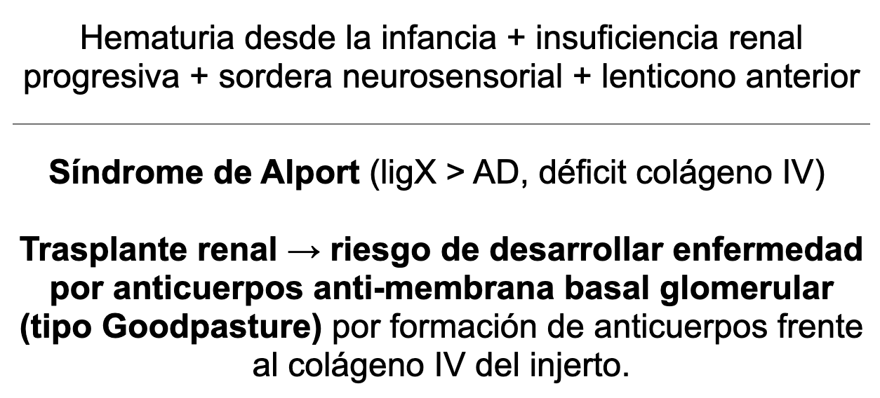 💧 Ankis patogMIRmónicos Nefrología