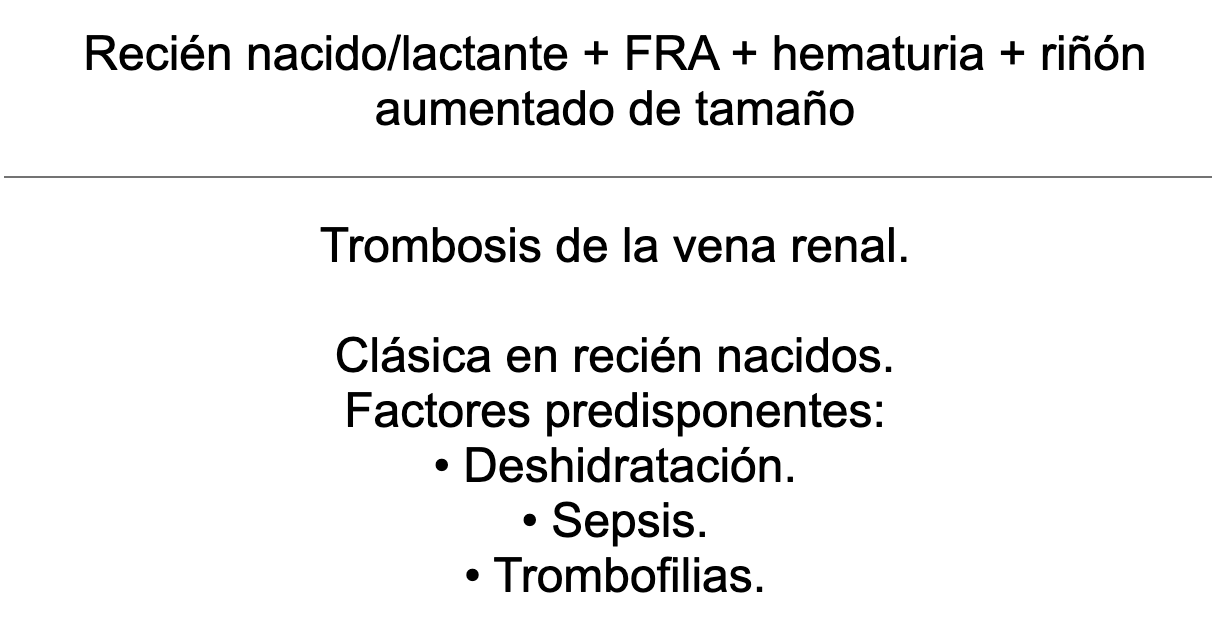 💧 Ankis patogMIRmónicos Nefrología