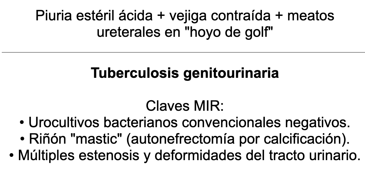 🍆 Ankis patogMIRmónicos Urología