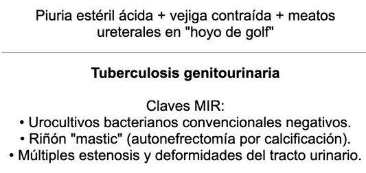 🍆 Ankis patogMIRmónicos Urología