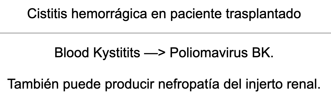 🍆 Ankis patogMIRmónicos Urología