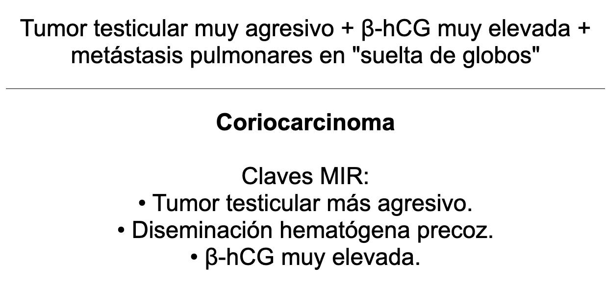 🍆 Ankis patogMIRmónicos Urología