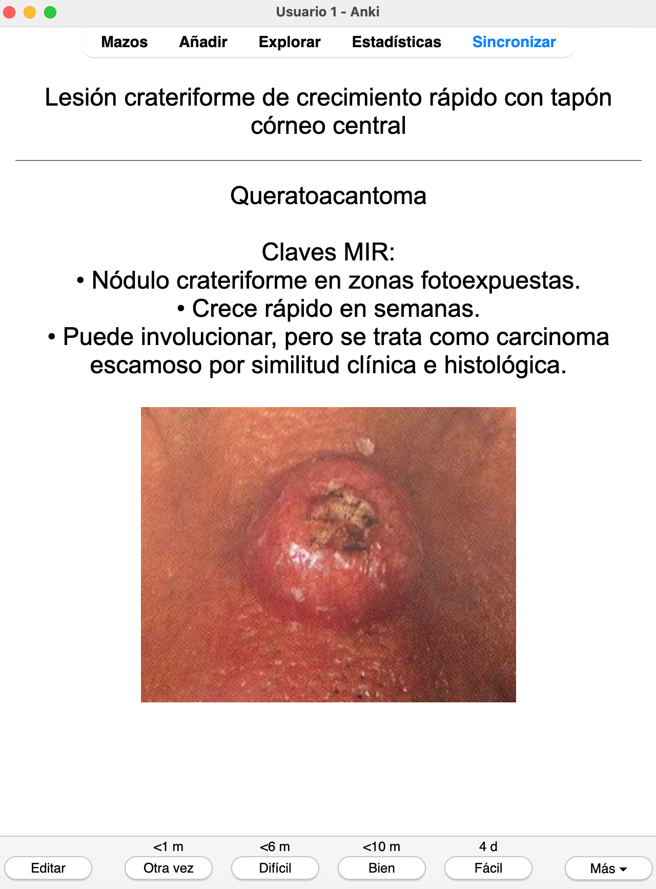 🌞 Ankis patogMIRmónicos Dermatología