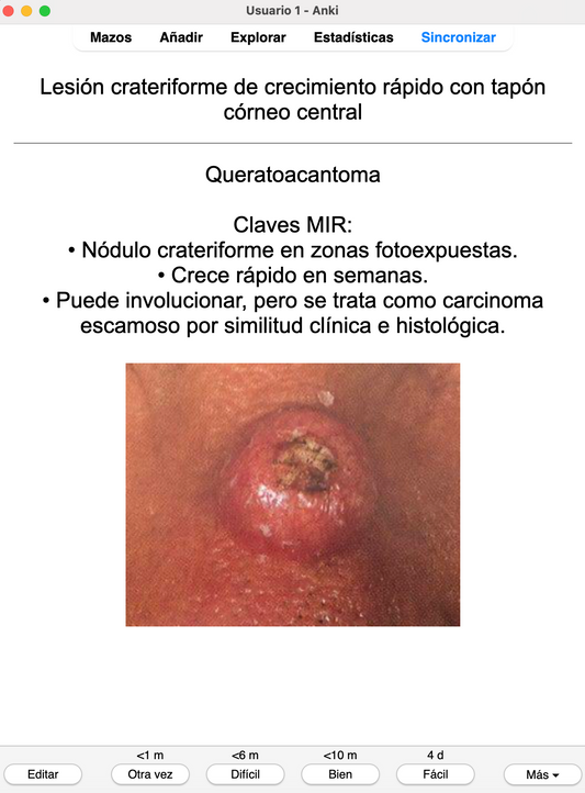 🌞 Ankis patogMIRmónicos Dermatología