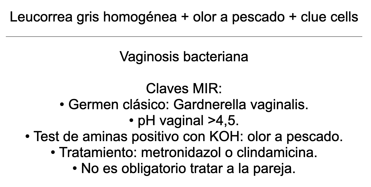 🤰🏼 Ankis patogMIRmónicos Ginecología y Obstetricia