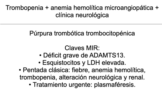 🩸 Ankis patogMIRmónicos Hematología
