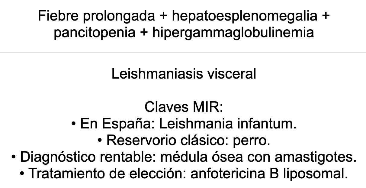 🦠 Ankis patogMIRmónicos Infecciosas