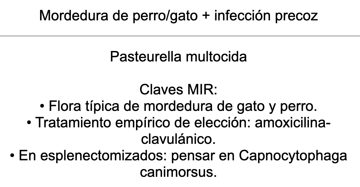 🦠 Ankis patogMIRmónicos Infecciosas