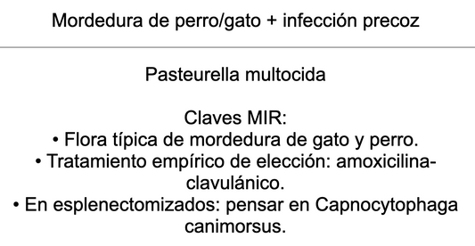 🦠 Ankis patogMIRmónicos Infecciosas