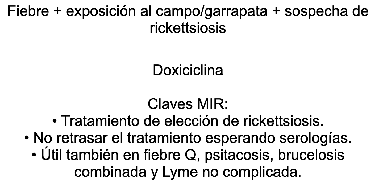 🦠 Ankis patogMIRmónicos Infecciosas
