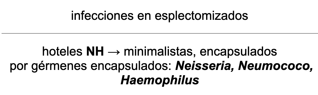 🧫 Ankis patogMIRmónicos Inmunología