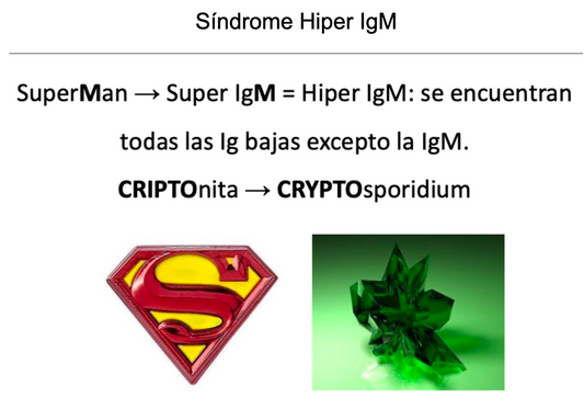 🧫 Ankis patogMIRmónicos Inmunología