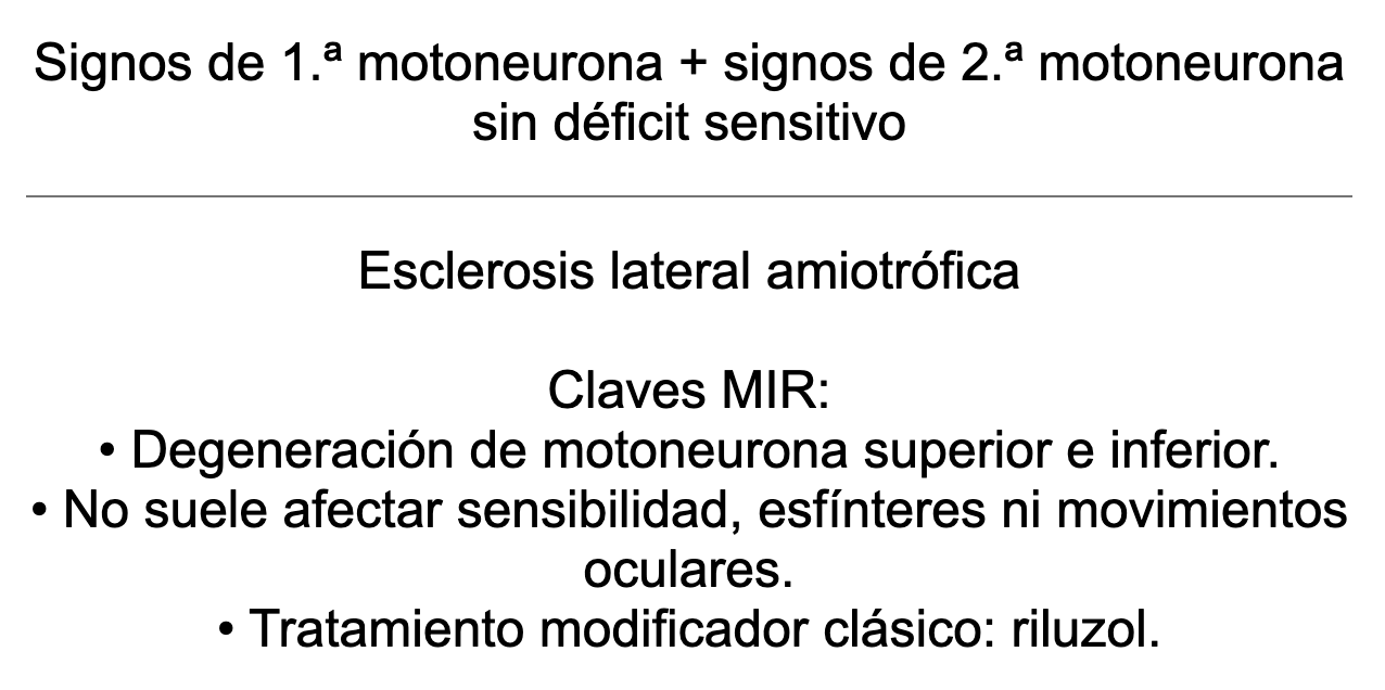 🧠 Ankis patogMIRmónicos Neurología