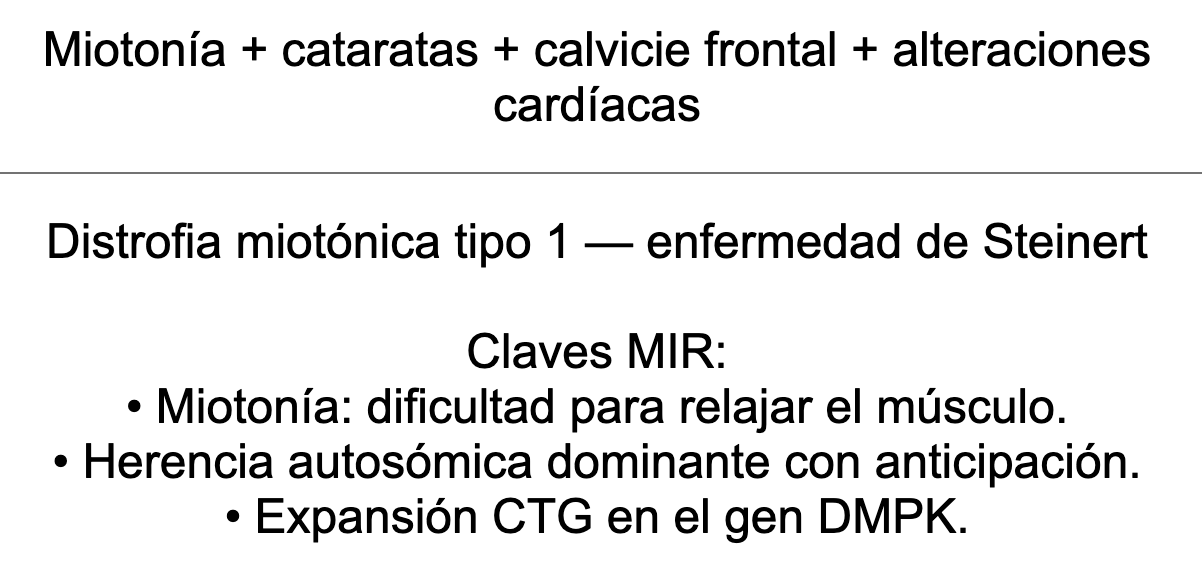 🧠 Ankis patogMIRmónicos Neurología
